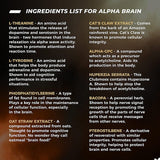 L Theanine Brain Supplement